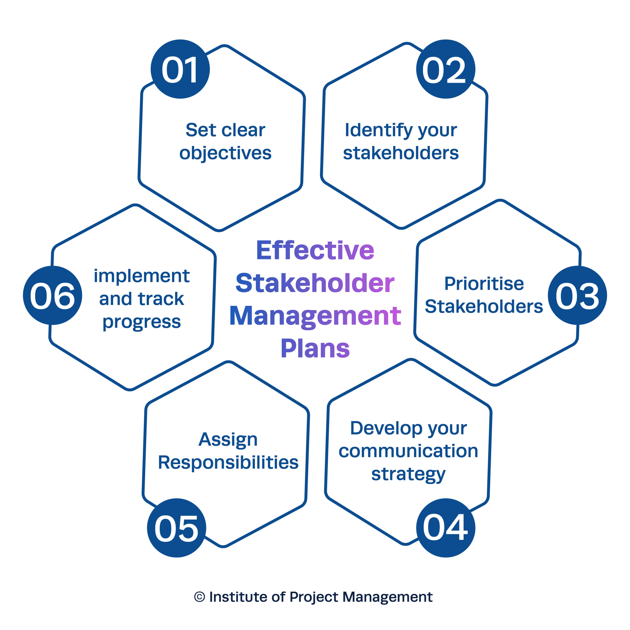 Stakeholder Management Plans Infographics