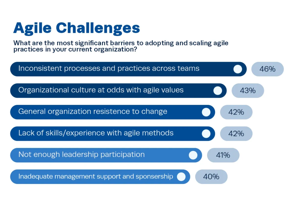 Survey chart - agile project management