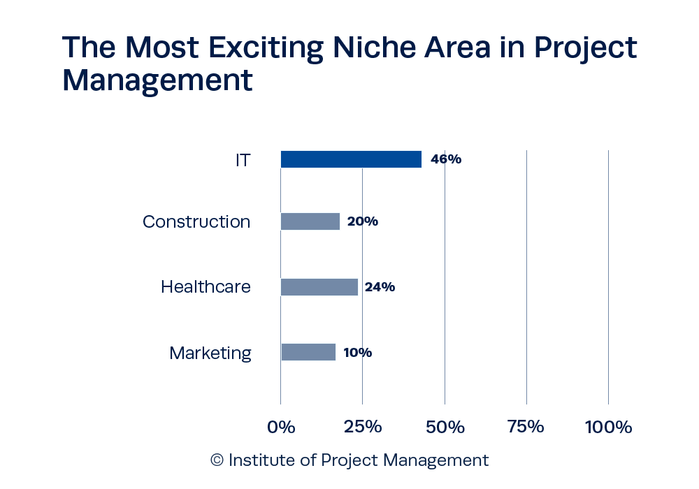 The Most Exciting Niche Area in Project Management