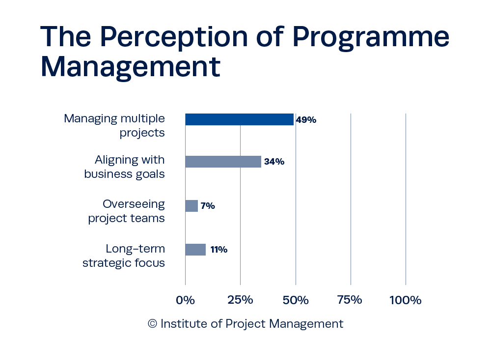 The Perception of Programme Management